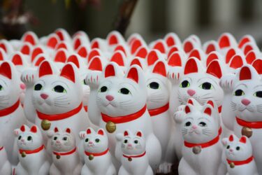 10 Must-Buy Japanese Souvenirs for Tourists (2025 Guide)