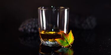 Japanese Alcohol 101 – Sake, Shochu & More for Beginners